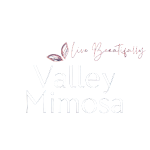 Valley_Mimosa_LinkedIn_Logo_Blue - Valley Mimosa
